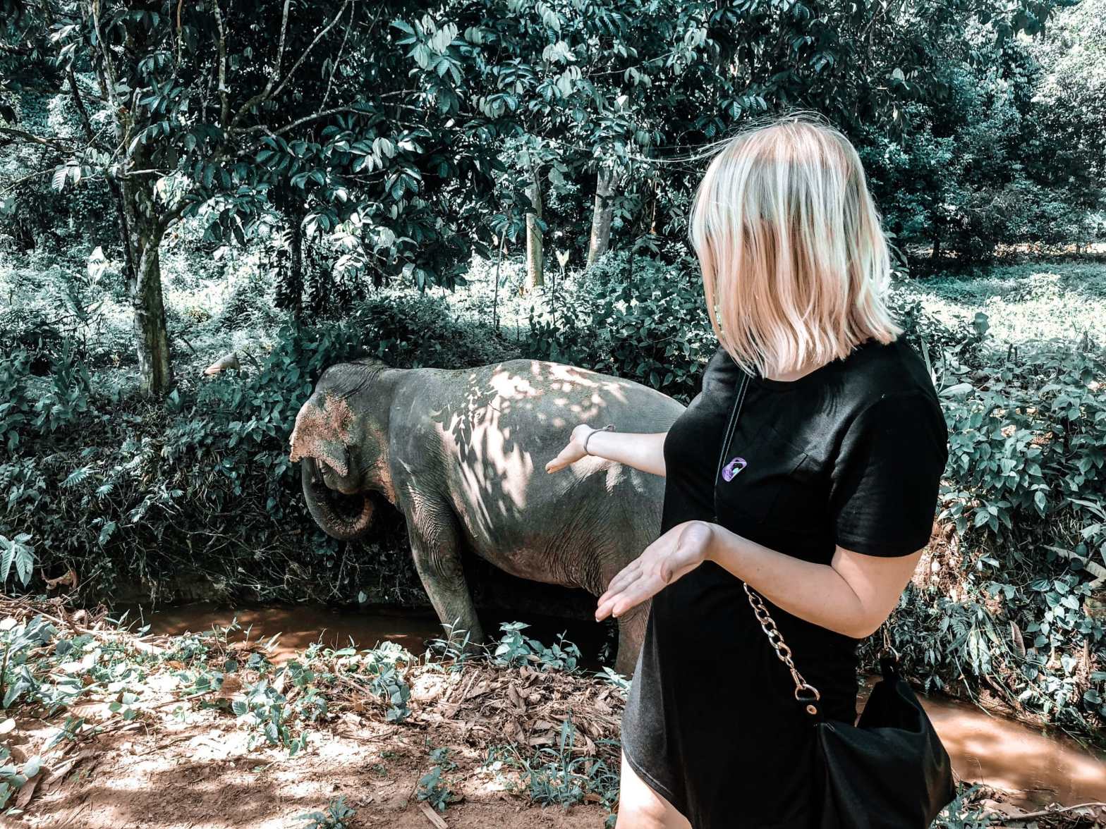 woman standing in front of elephant that is in a creek