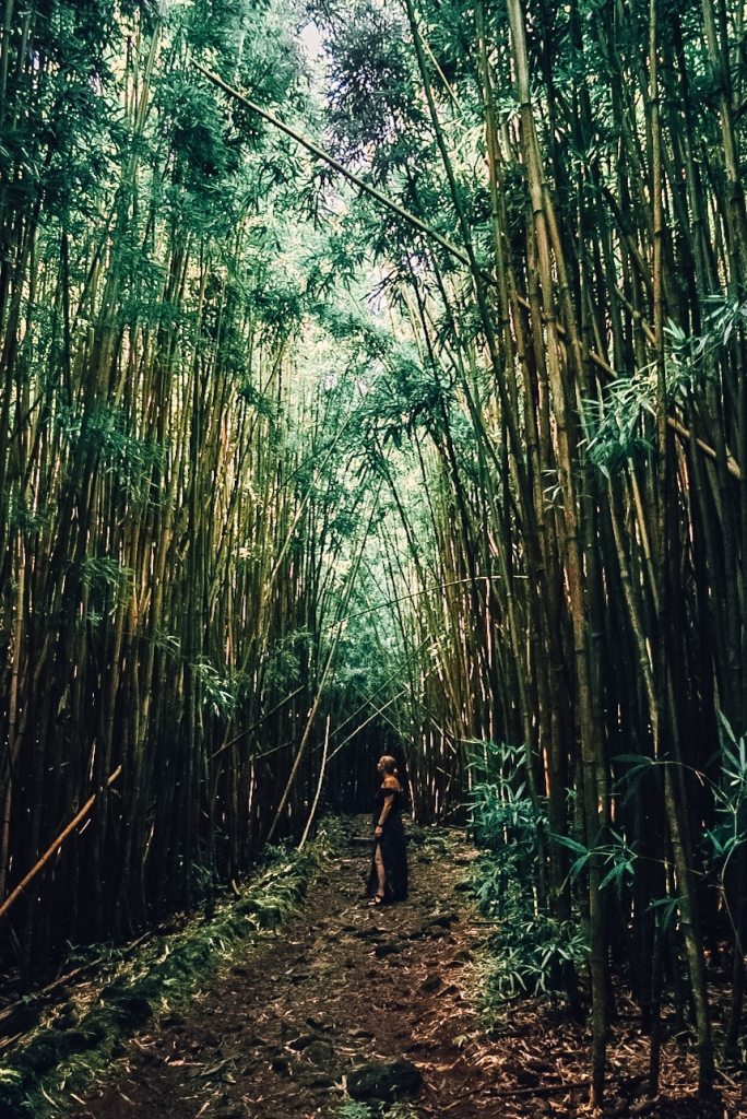 Woman in dress standing amidst bamboo forest, looking up.