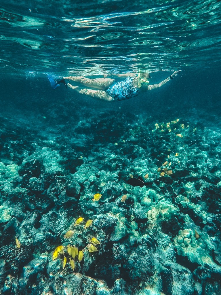 Woman snorkeling above coral and a school of yellow fish