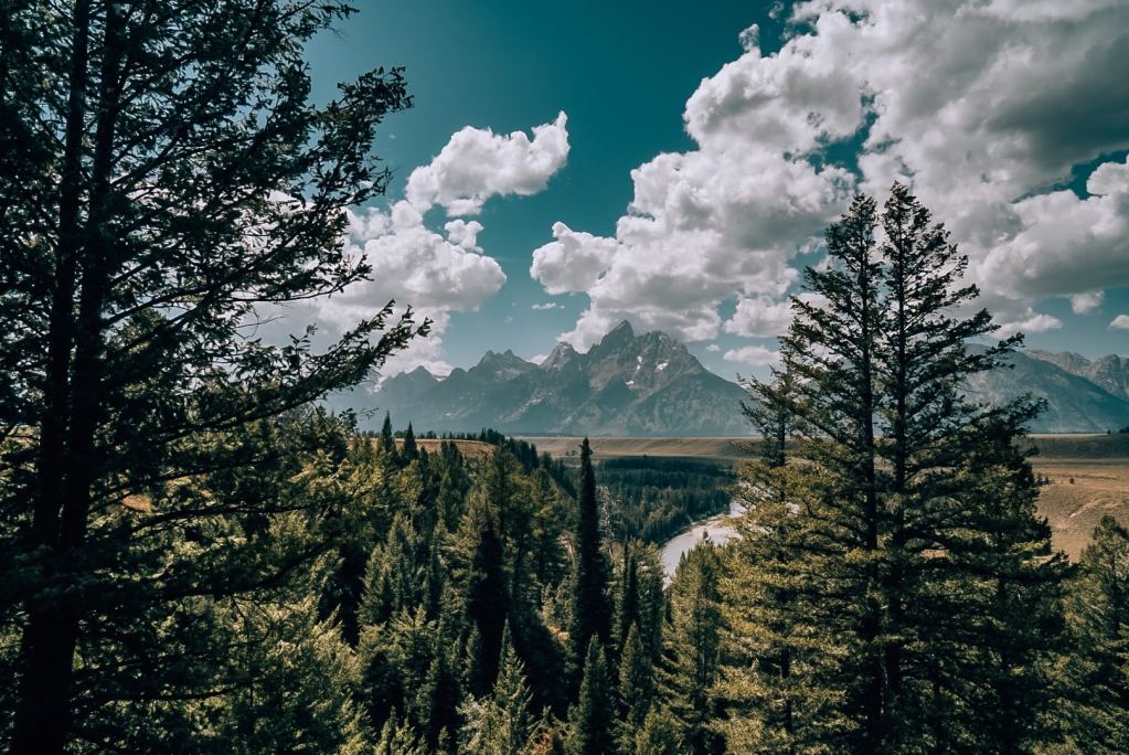 View of the Grand Teton mountains from the Snake River Overlook.