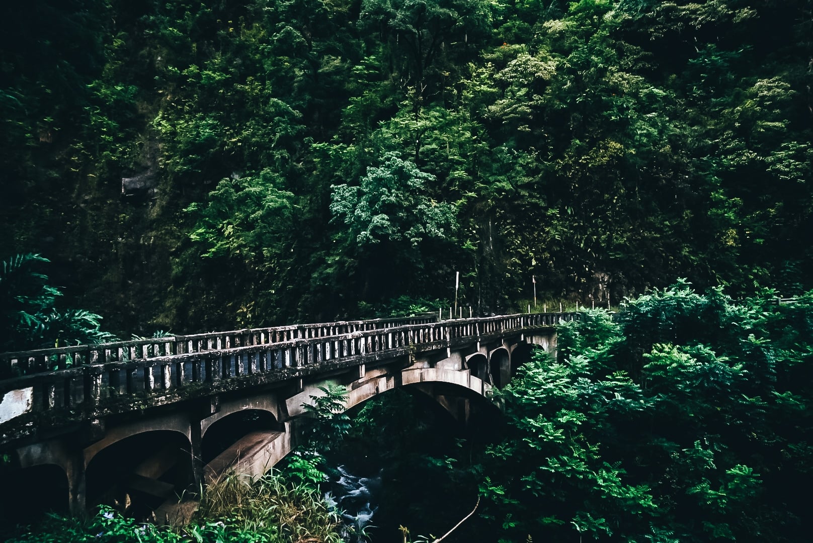 5 Best Road to Hana Stops - You Can't Miss These! • Amanda Wanders