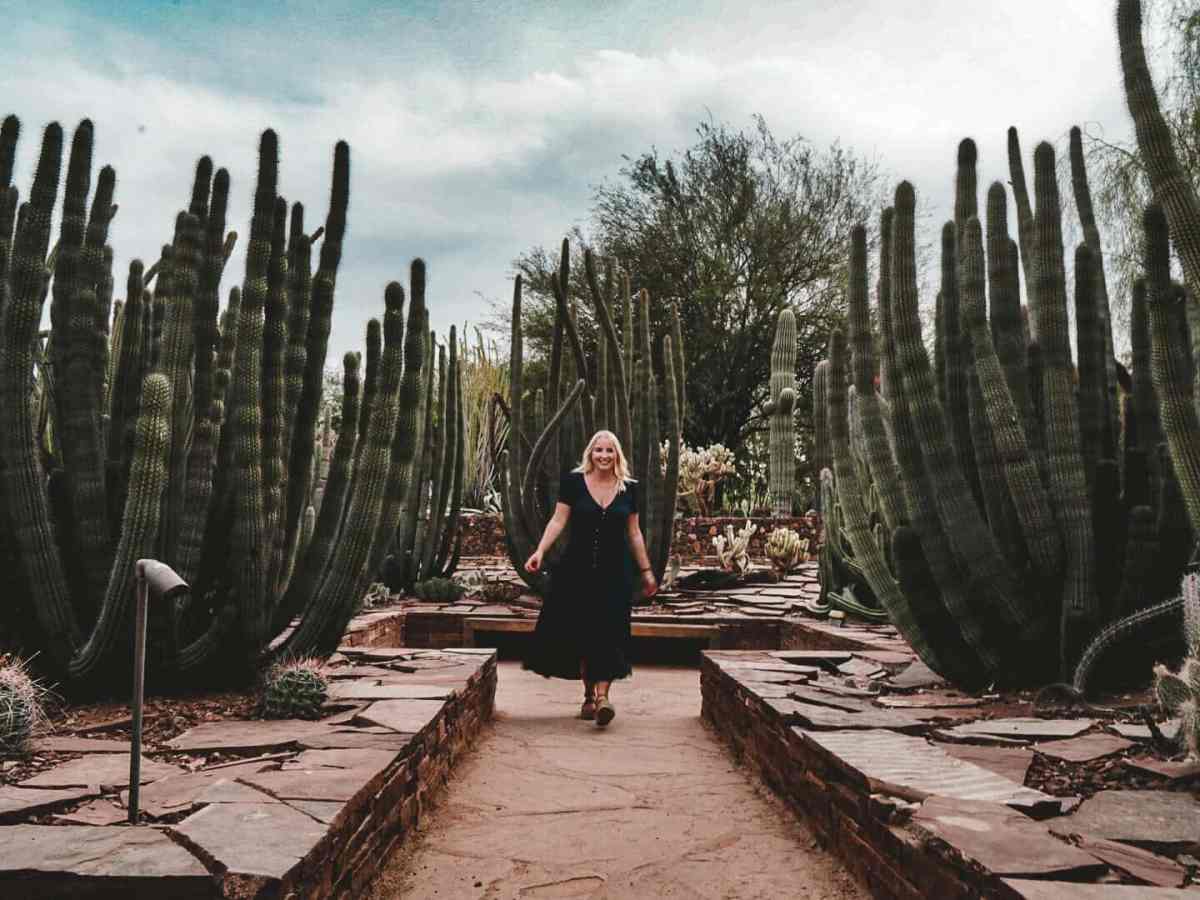 Woman standing amid cacti at Desert Botanical Gardens