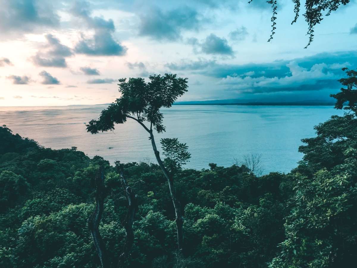Manuel Antonio Travel Guide – Your Perfect Costa Rica Trip