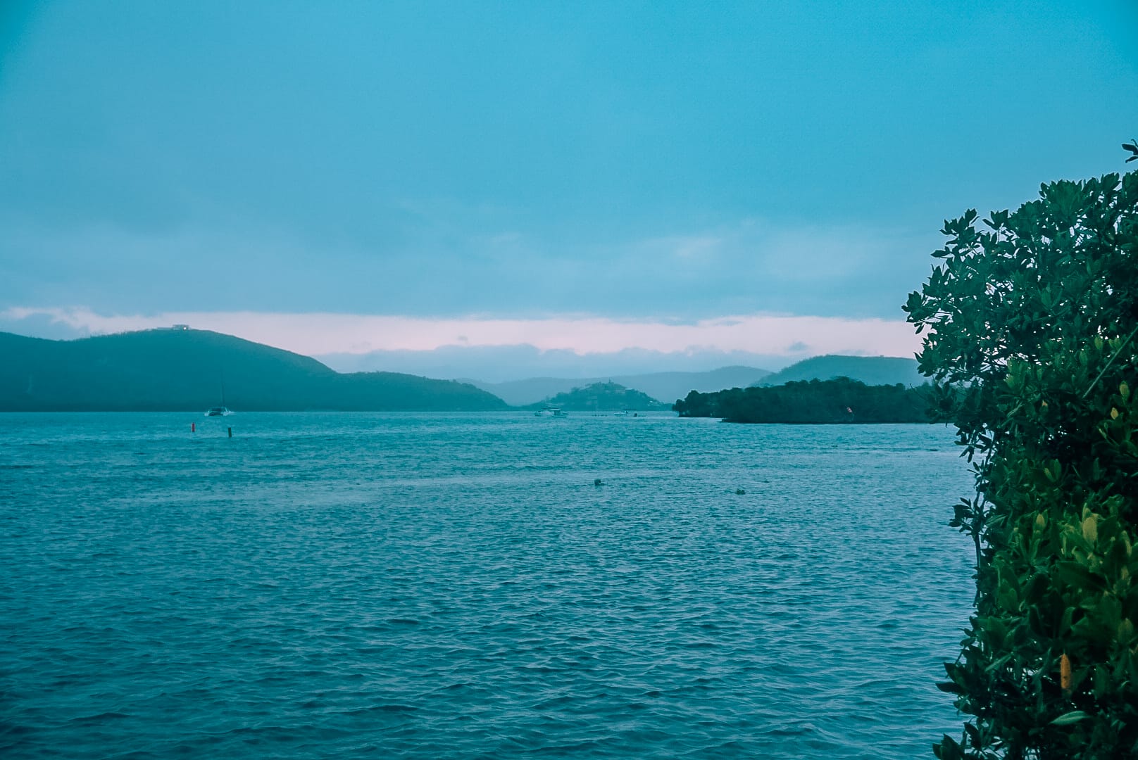 Bioluminescent Beaches Around The World Will Give You New Travel Goals