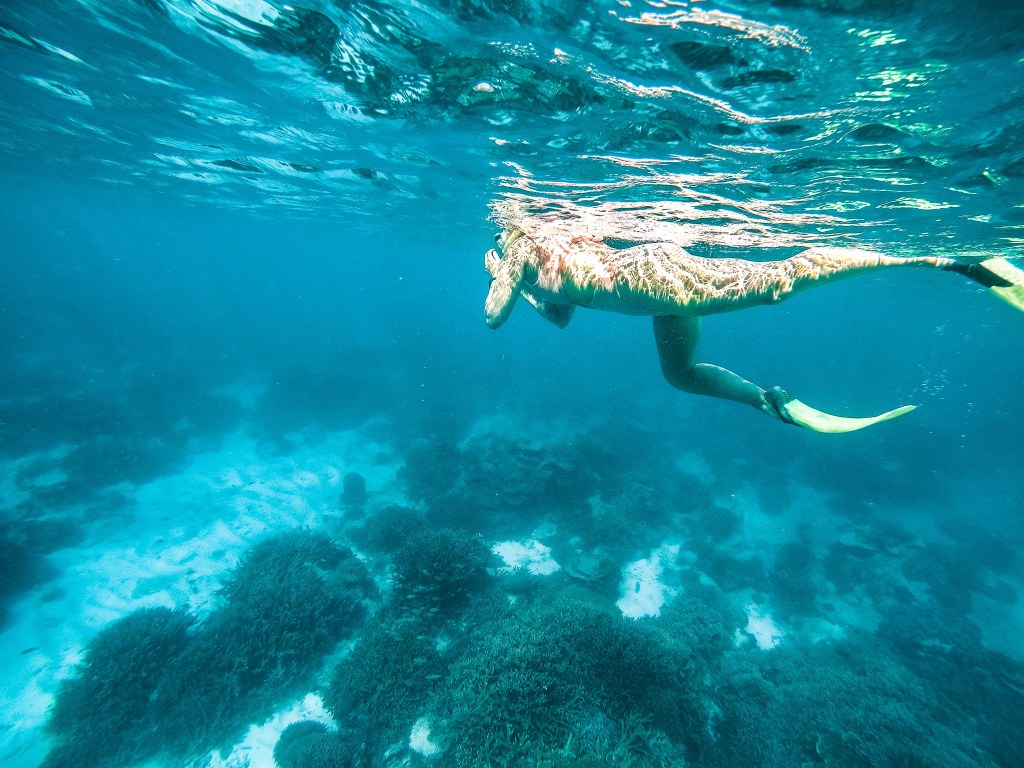 Woman Swimming at Lady Elliot Island