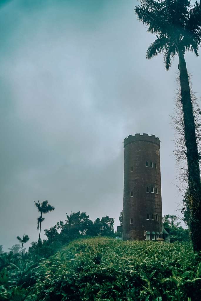 View of a tower amid palm trees