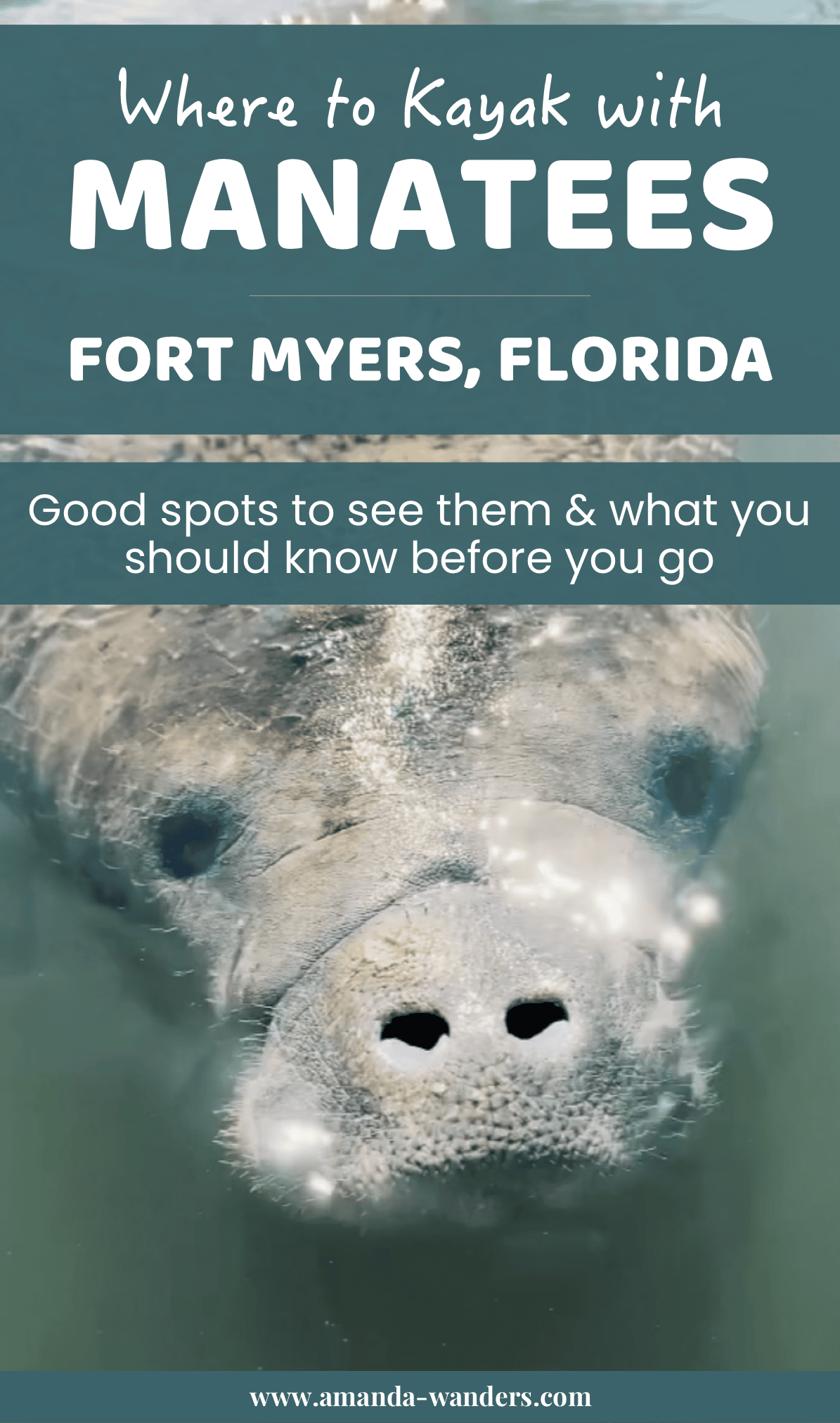 Kayak With Fort Myers Manatees at Lovers Key State Park • Amanda Wanders