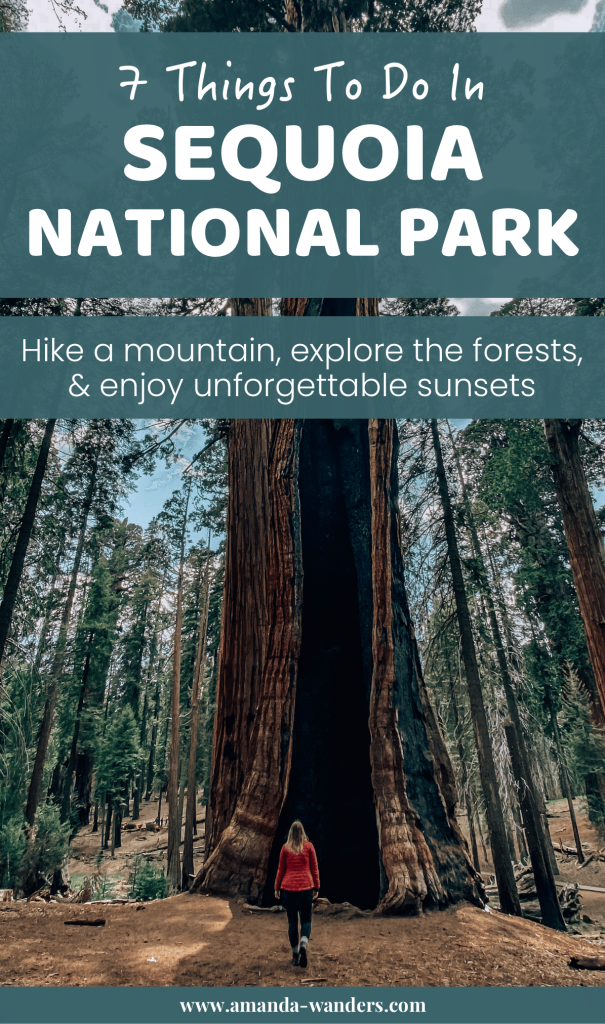 Pinterest cover for this Things To Do In Sequoia National Park Blog