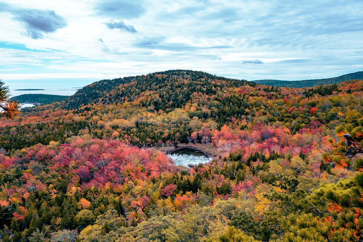Fall colors of Acadia National Park in October