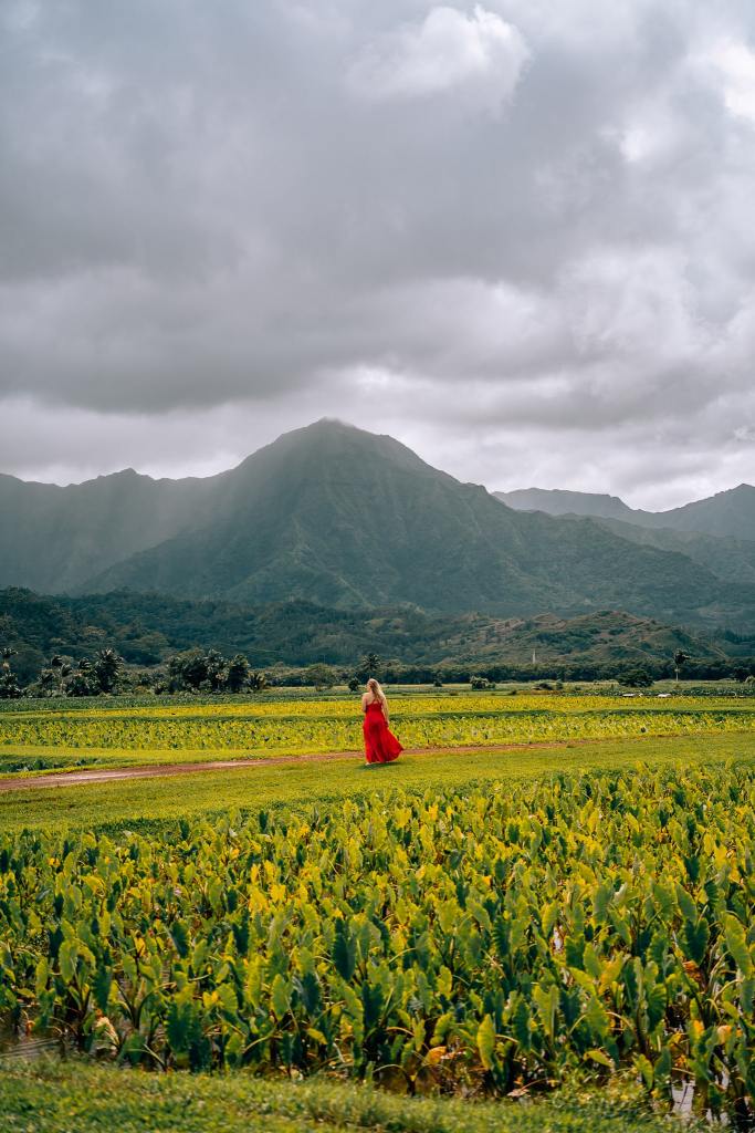 Woman standing in the middle of the taro fields of Hanalei, Kauai