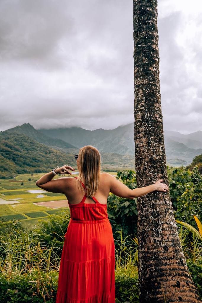 Woman holding a palm tree looking out to Hanalei taro fields