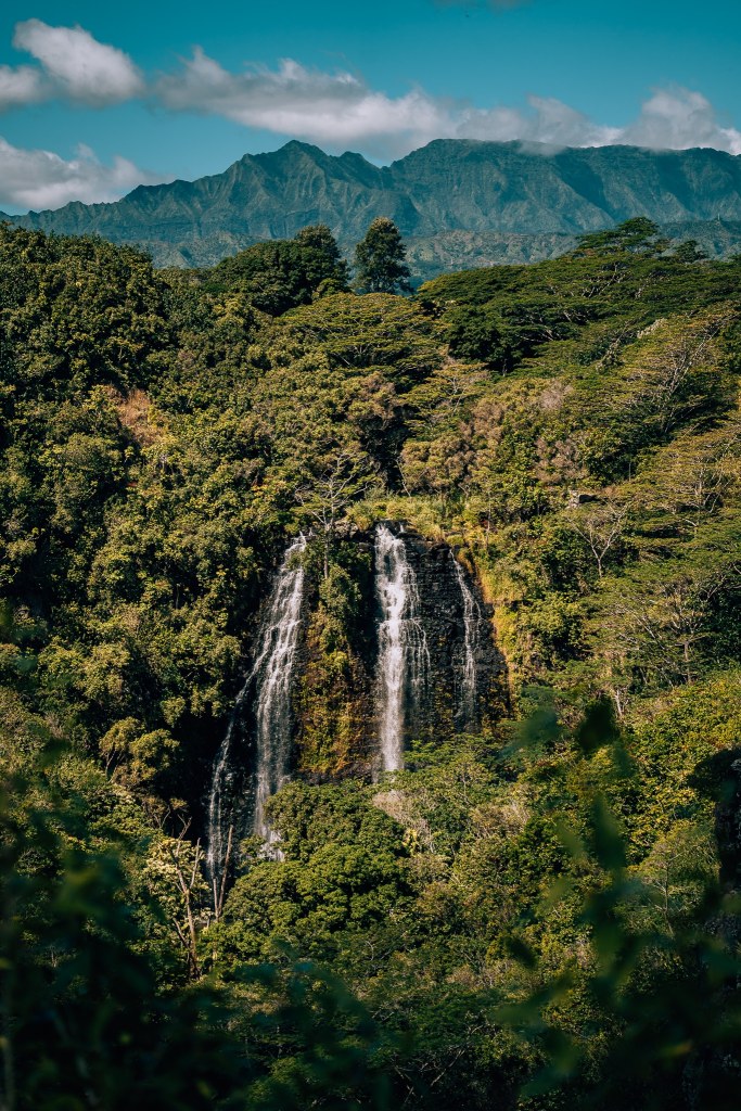 View of Opaeka'a Falls