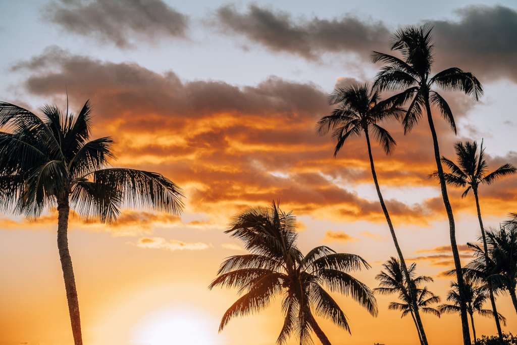 Sky at sunset with palm trees at Poipu Beach in Kauai