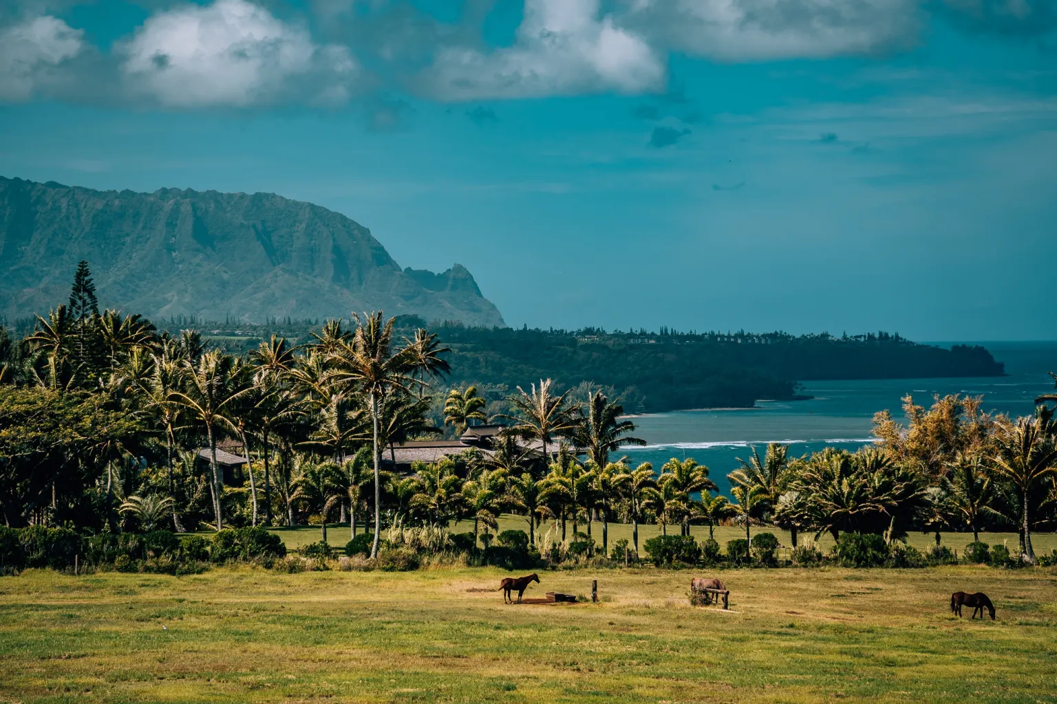 9 of the Best Things to Do On Kauai's North Shore • Amanda Wanders