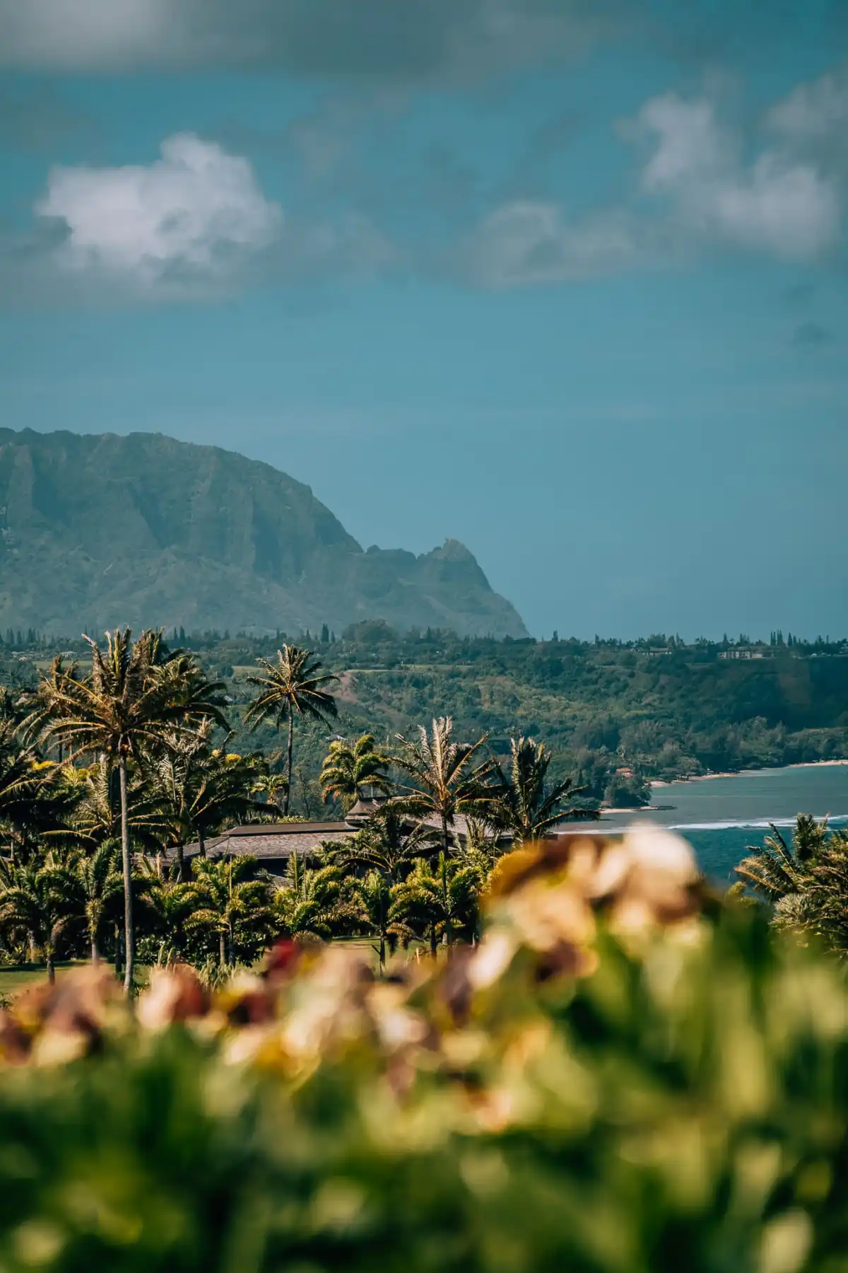 9 of the Best Things to Do On Kauai's North Shore • Amanda Wanders