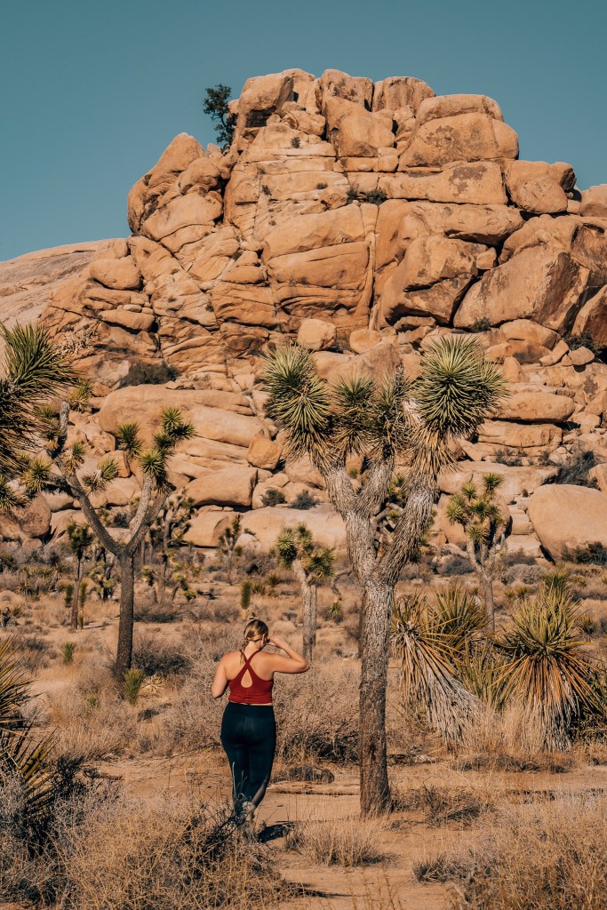 Woman walking toward a Joshua Tree in a field of Joshua Trees with boulders in the background
