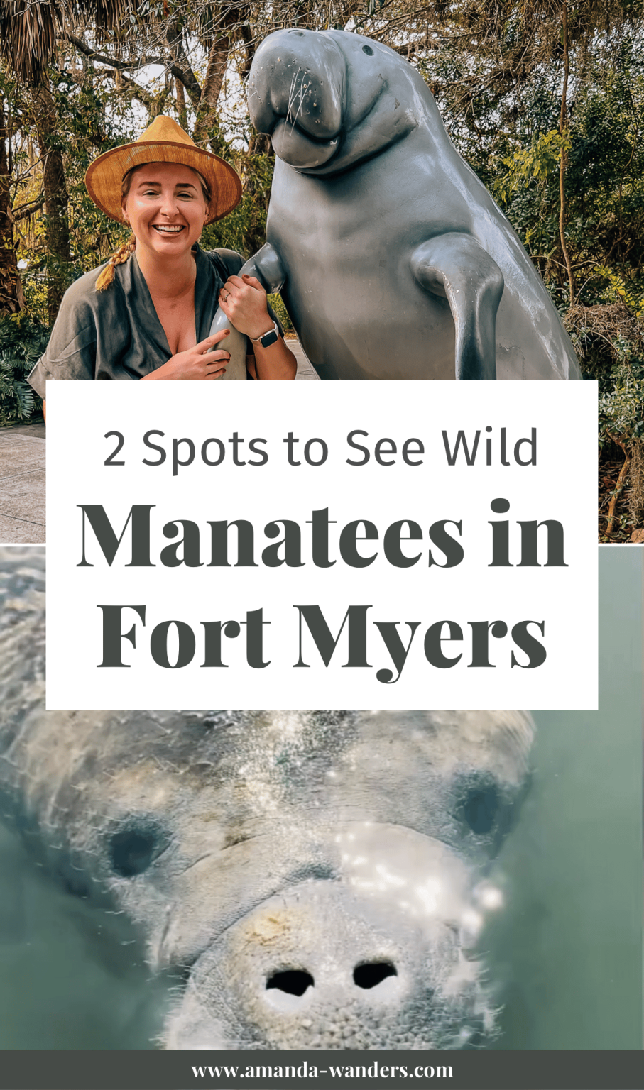 Where to See Manatees in Fort Myers, Florida • Amanda Wanders