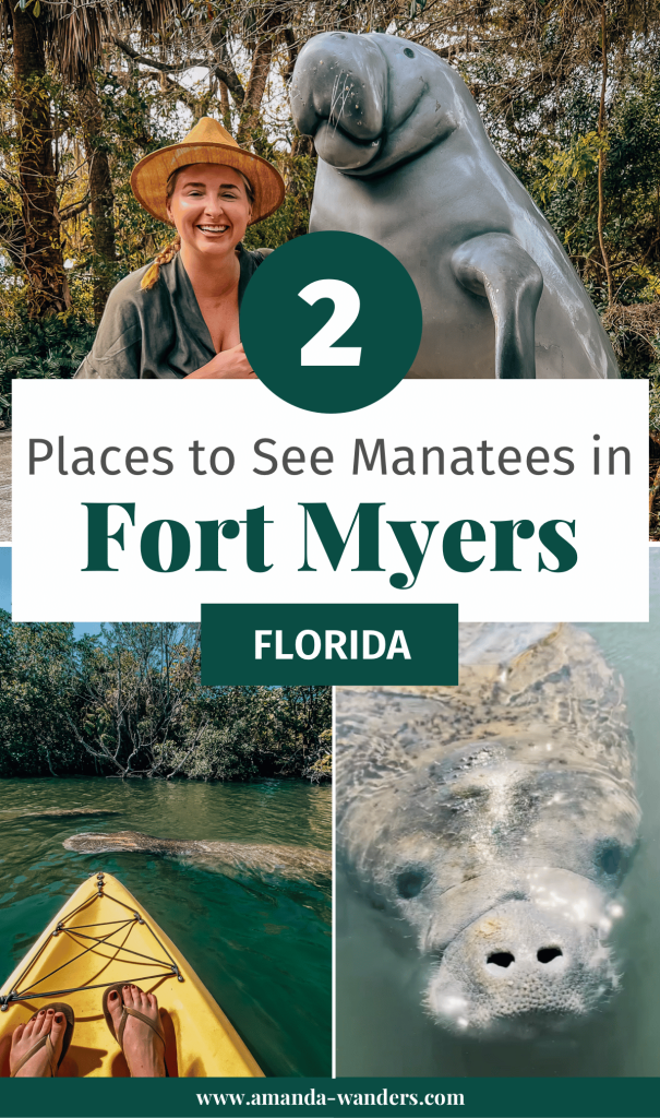 Where to See Manatees in Fort Myers, Florida • Amanda Wanders