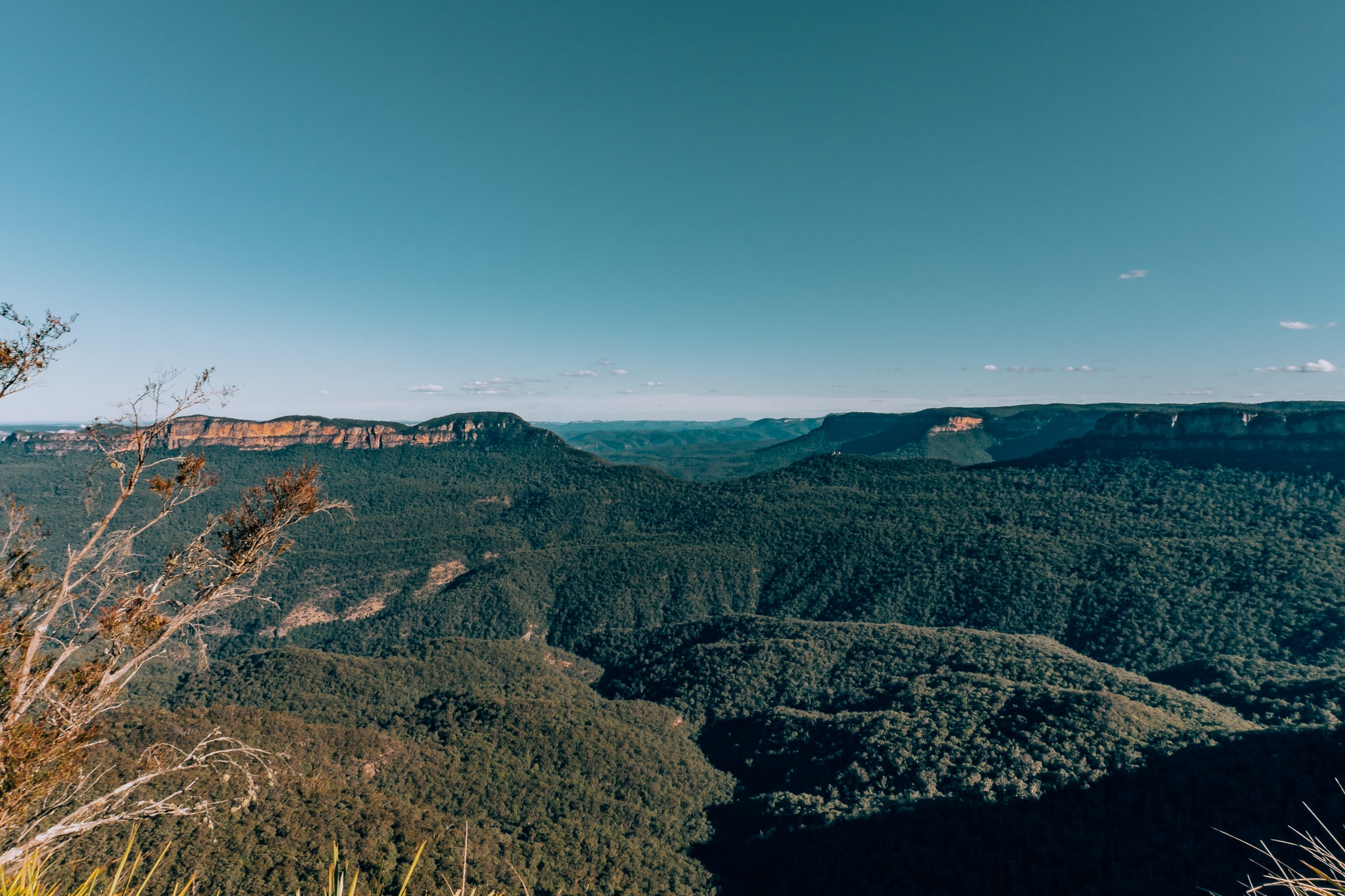 Wide landscape shot of Blue Mountains in Australia