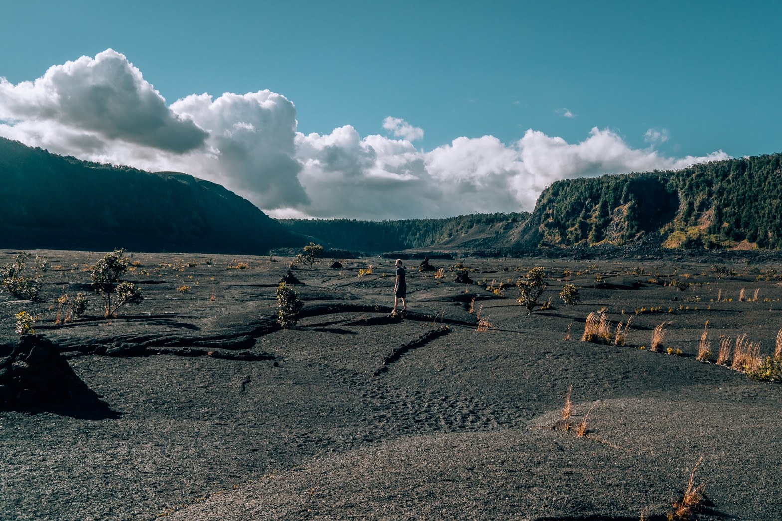 Man standing in the Kilauea Iki hiking trail on a volcano bed