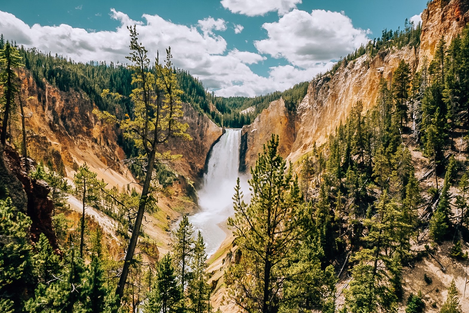 Waterfall of Yellowstone's Grand Canyon