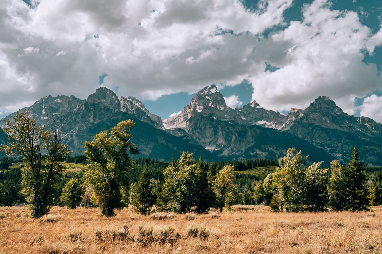 View of the Teton Mountain range with trees in the front and a cloudy sky