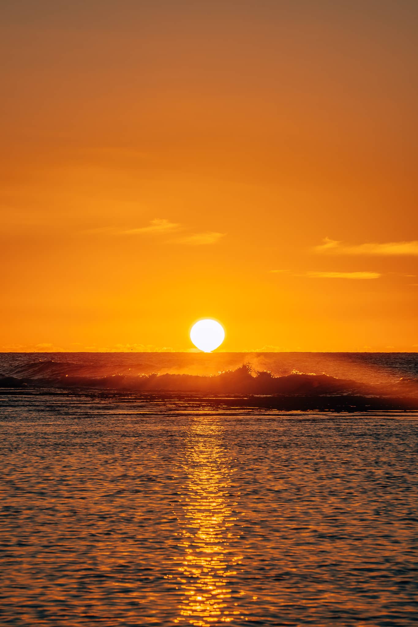Sun touching the horizon above the ocean