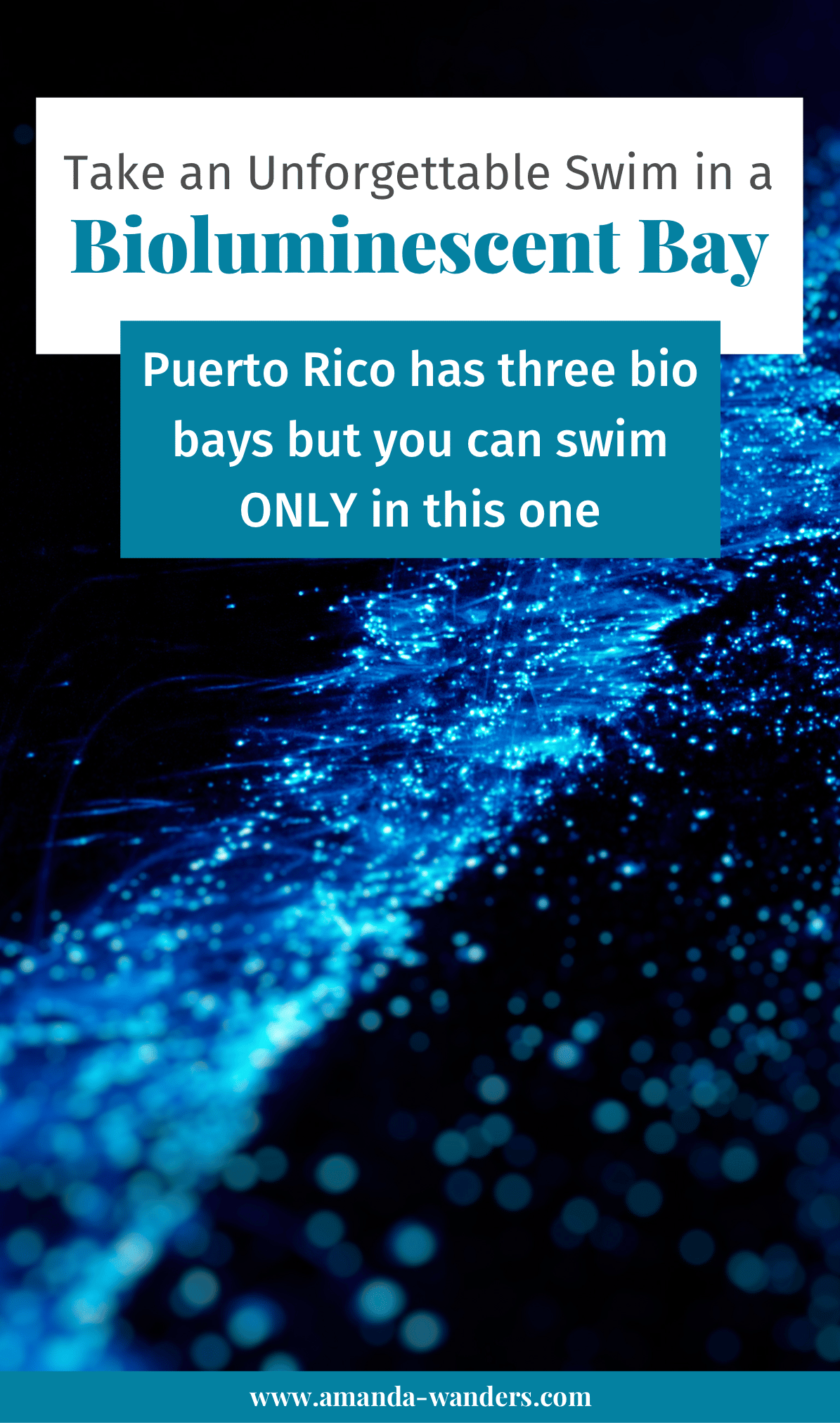 Go Swimming in a Bioluminescent Bay in Puerto Rico • Tour La Parguera