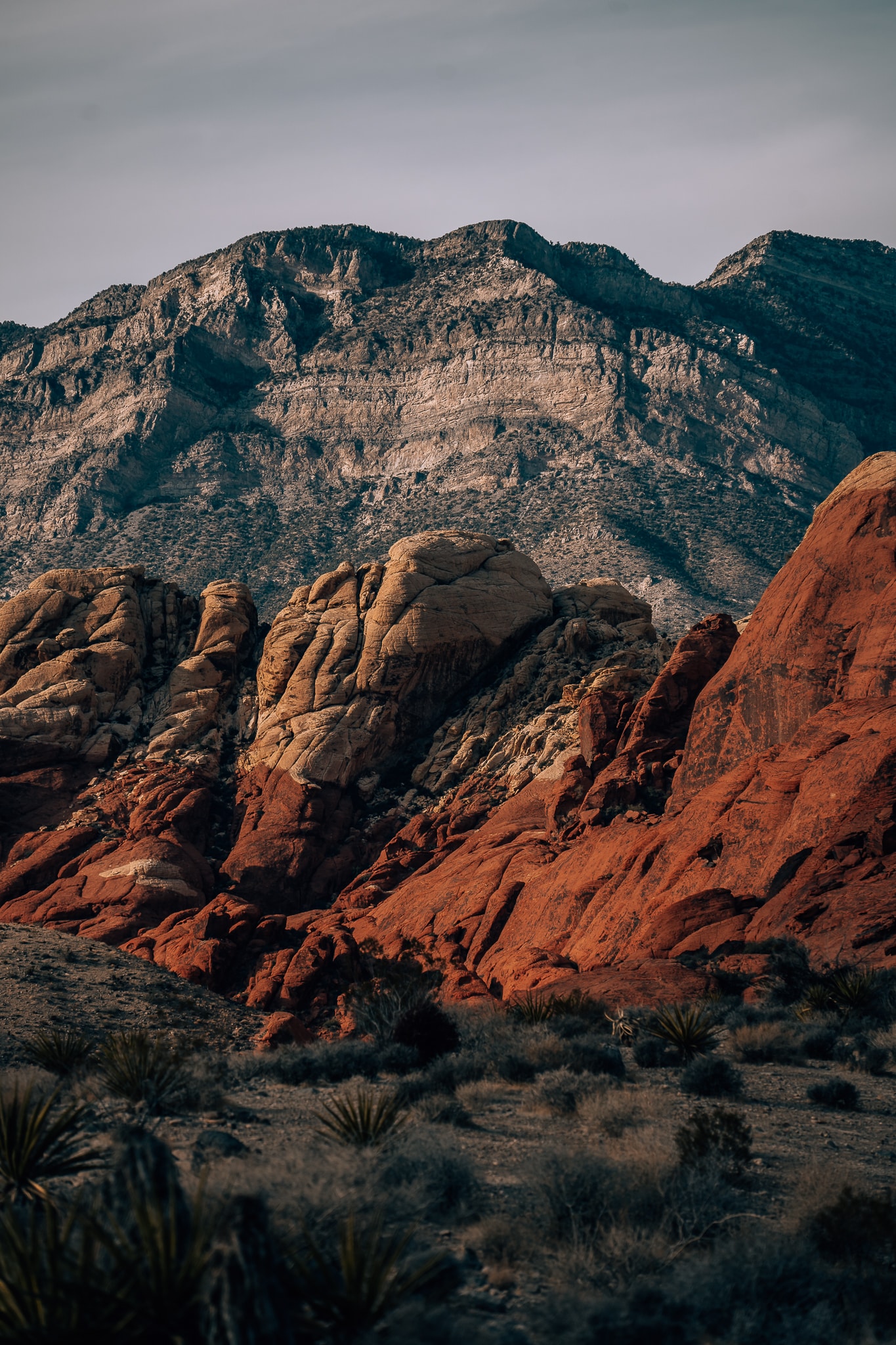 Red rock layers in front of the mountains at Red Rock Canyon Conservation Area