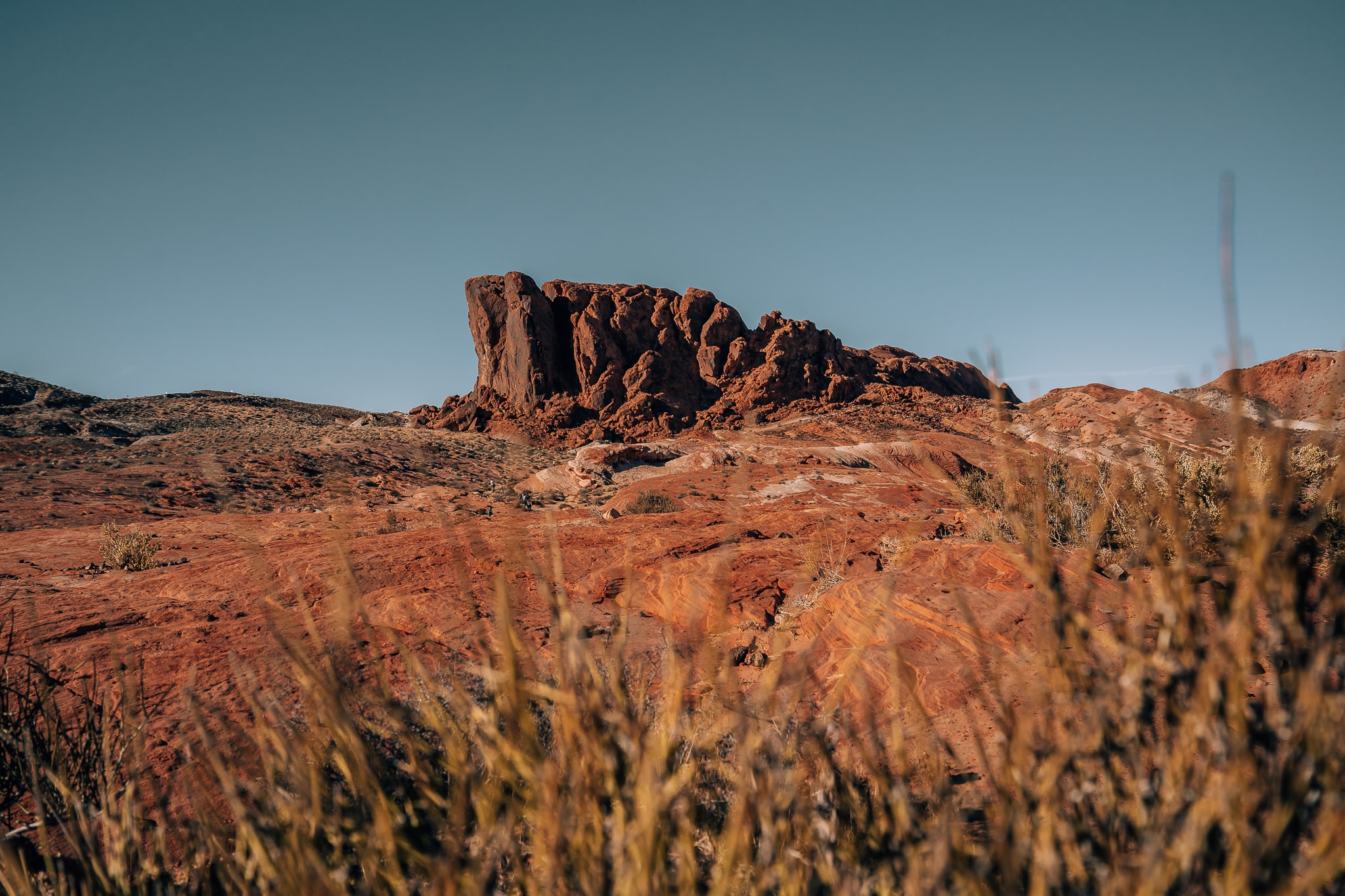 Large red rock in the background with grass in the foreground