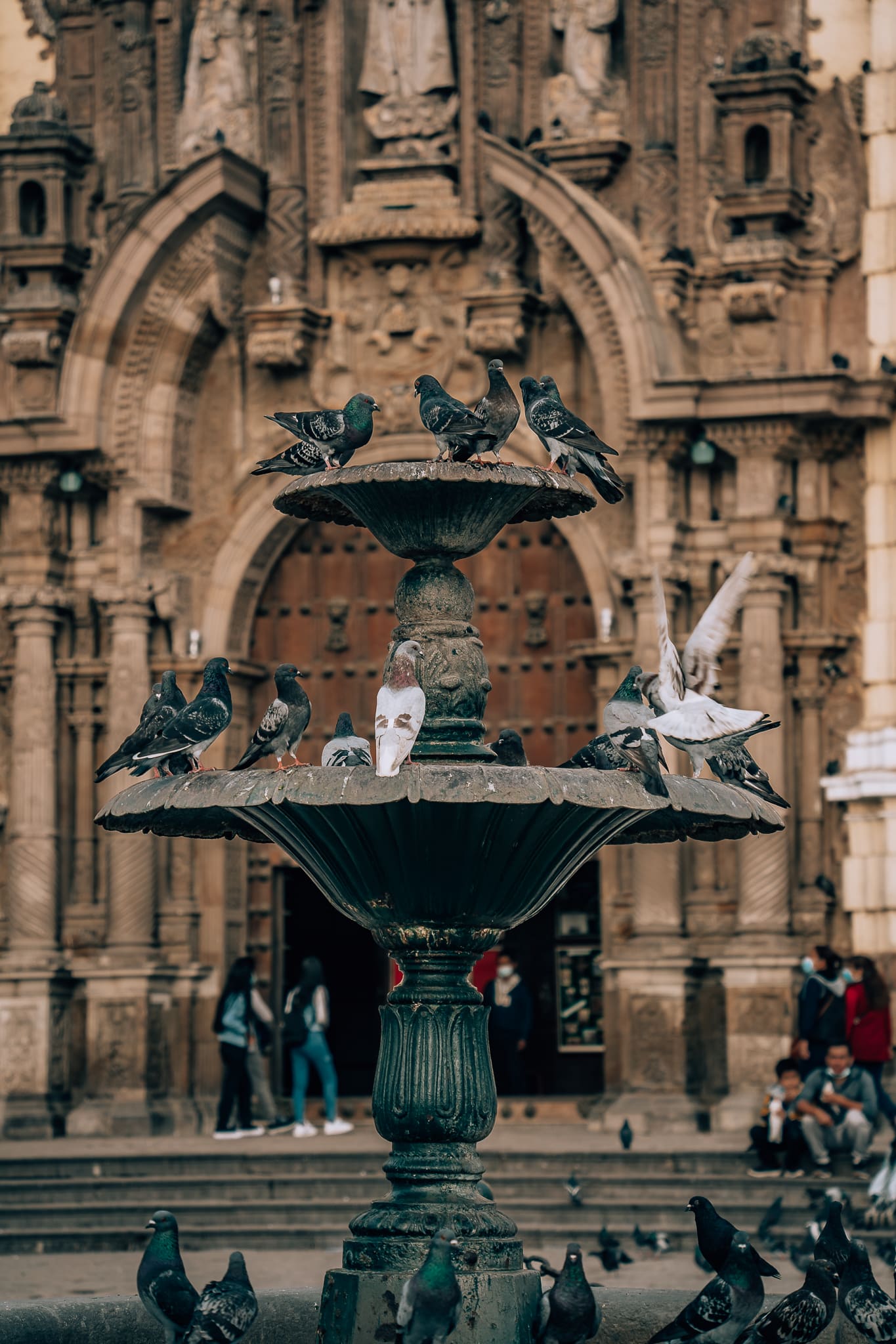 Birds on a fountain in Lima, Peru with the cathedral in the background