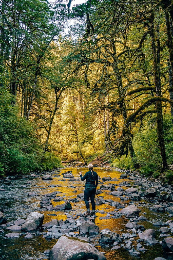 Woman standing on a rock in a creek looking out to all the trees