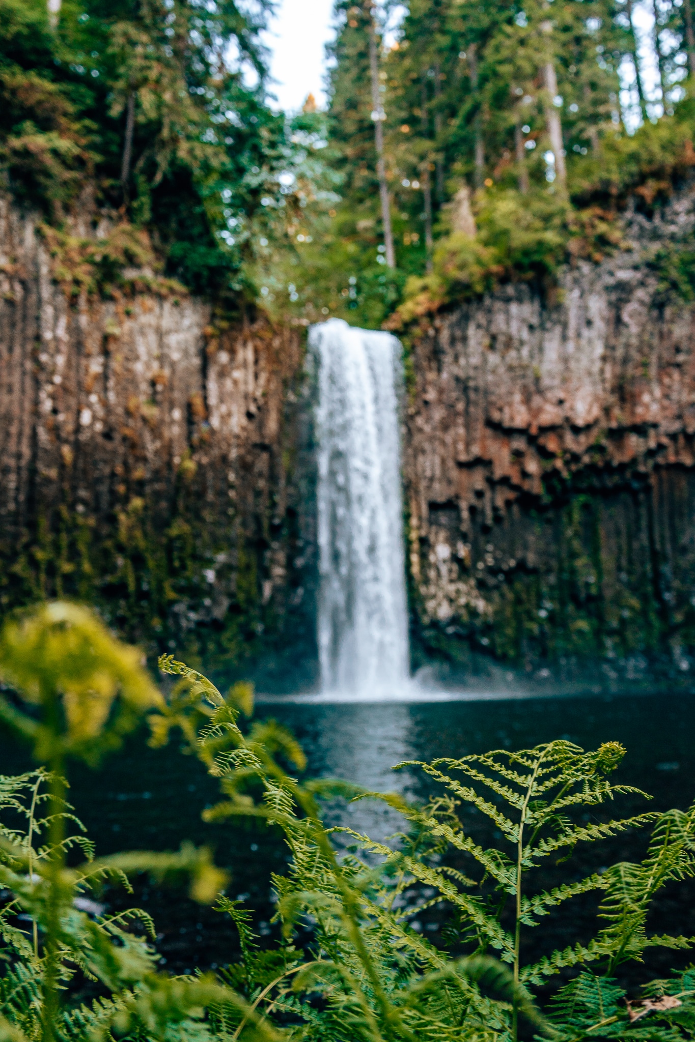 Abiqua Falls Hike • Guide to This Oregon Waterfall Near Portland