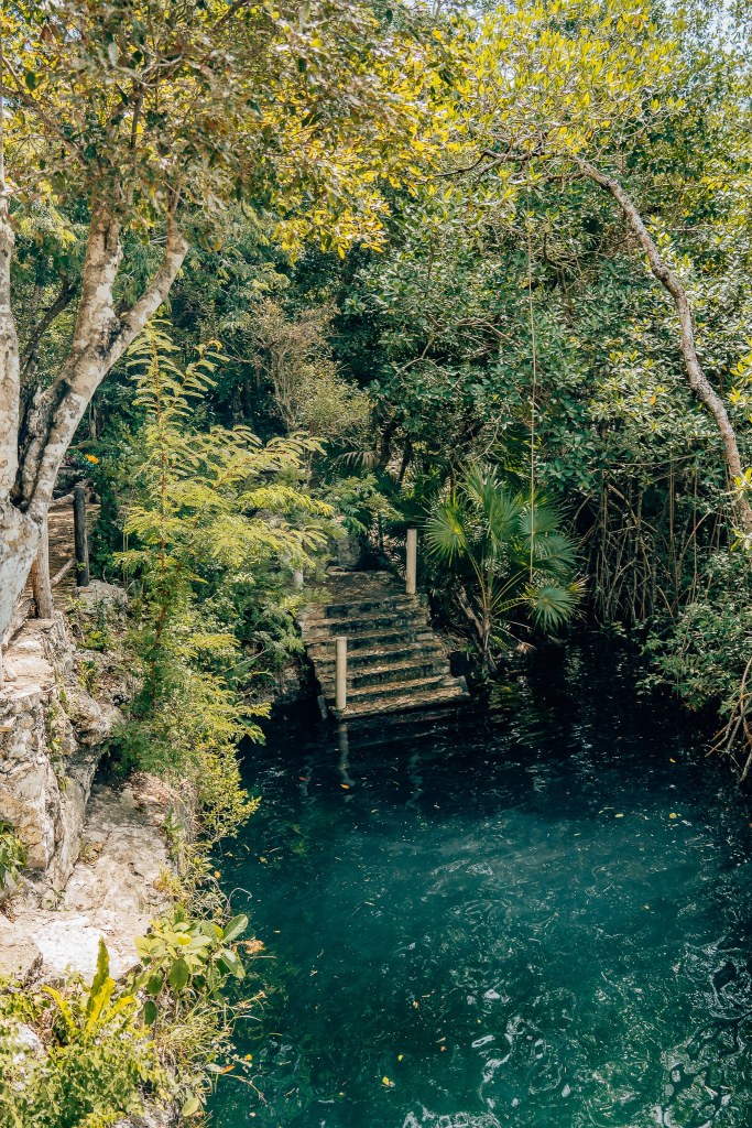 Stairs going into a Tulum cenote