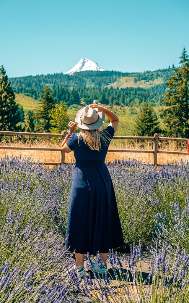 Woman in a blue dress and a hat standing among lavender looking out to Mount Hood in the background