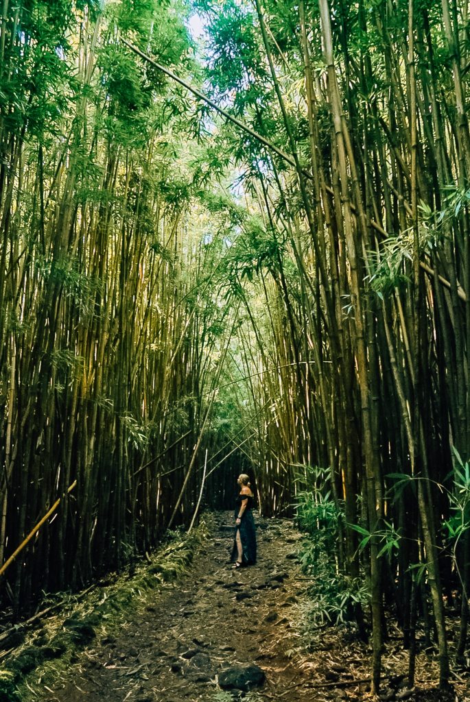 Woman in a dress standing amid a bamboo forest