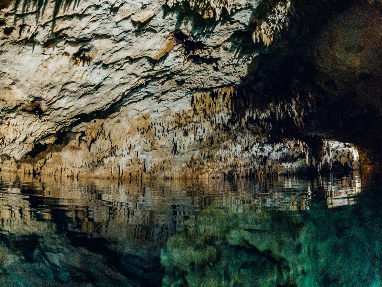 First person view of someone swimming through a cave cenote with stalactites hanging from the ceiling