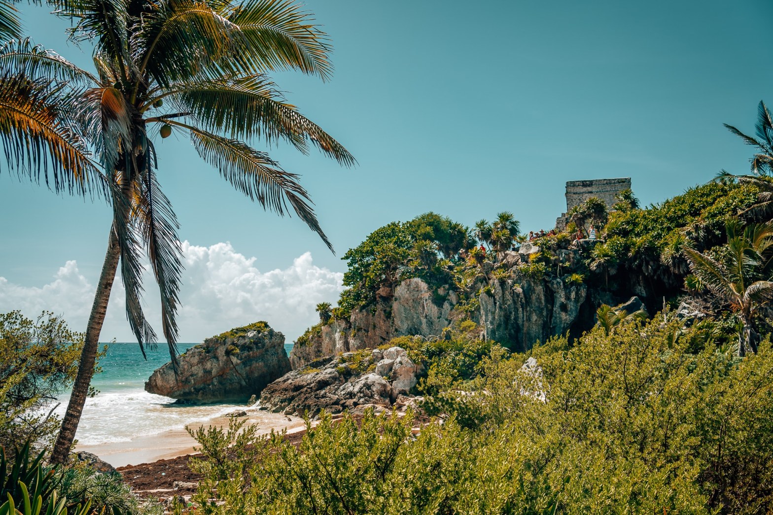 Mayan ruins in Tulum Mexico on a cliff above the beach with a palm tree in the foreground