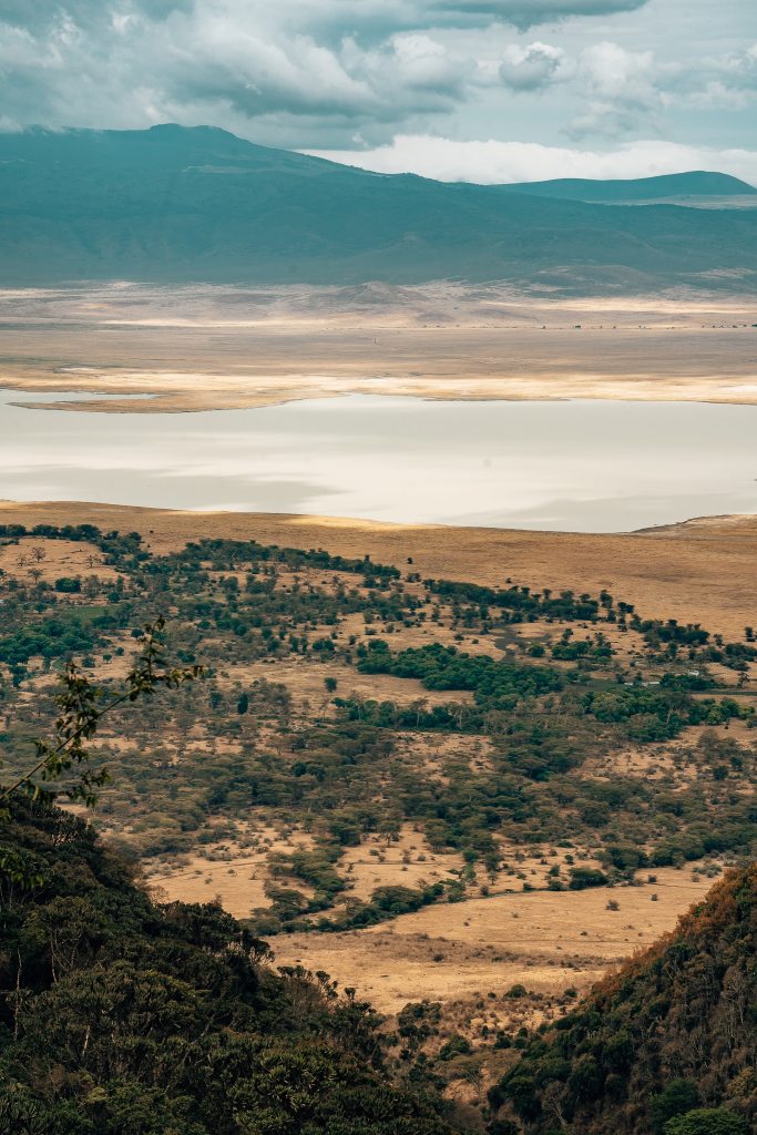 View of the Ngorongoro crater from the top which shows the depression in the volcano with trees, an alkaline lake, and the tall edges in the background