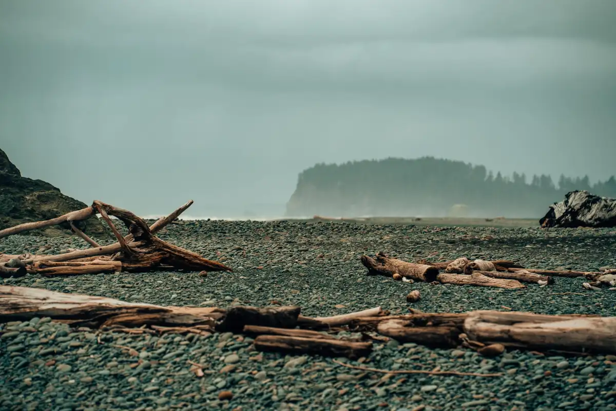 One day in olympic national park