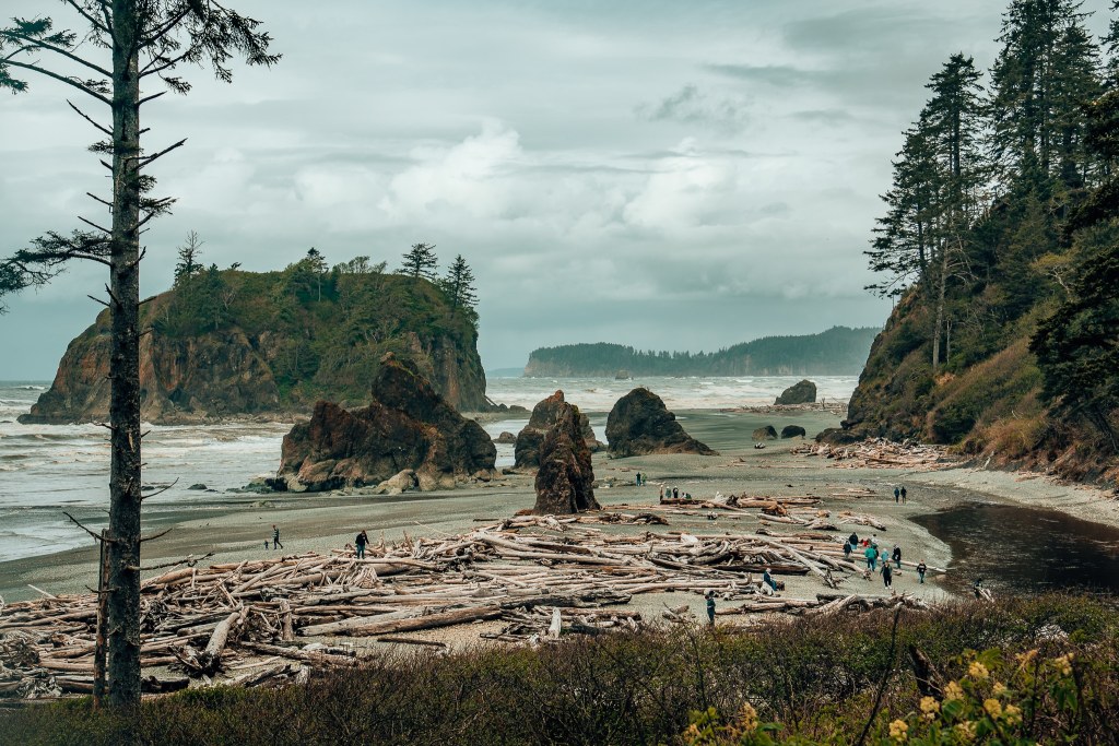View of Ruby Beach in Olympic National Park from above, with sea stacks visible in the distance and the tree-covered coastline
