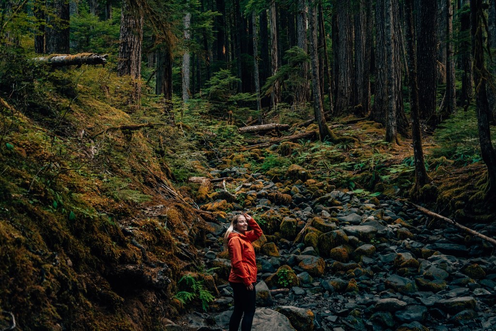 Woman standing in the middle of a hiking trail in Olympic National Park with lots of trees in the background