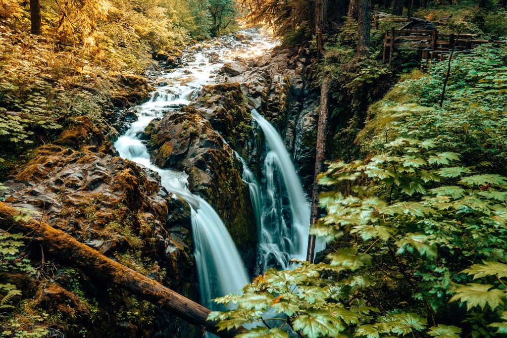 Sol Duc Falls in Olympic National Park surrounded by plants