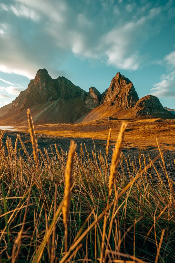 Mountains of Eystrahorn in the background with grass in the foreground