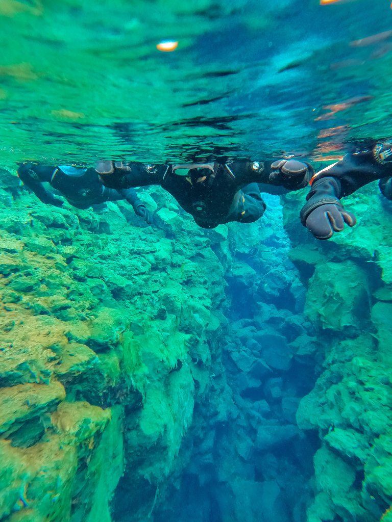 3 snorkelers floating on top of the water looking down into the Silfra fissure in Thingvellir National Park