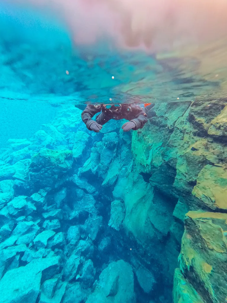 1 snorkeler floating on top of the water looking down into the Silfra fissure in Thingvellir National Park