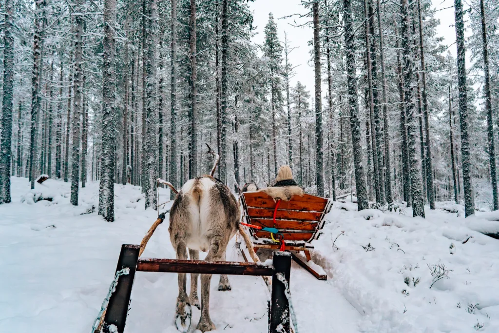 6 Day Lapland Winter Road Trip Itinerary • Finland